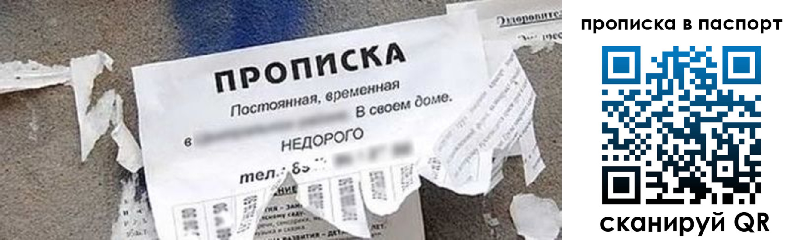 где прописаться в Плавске